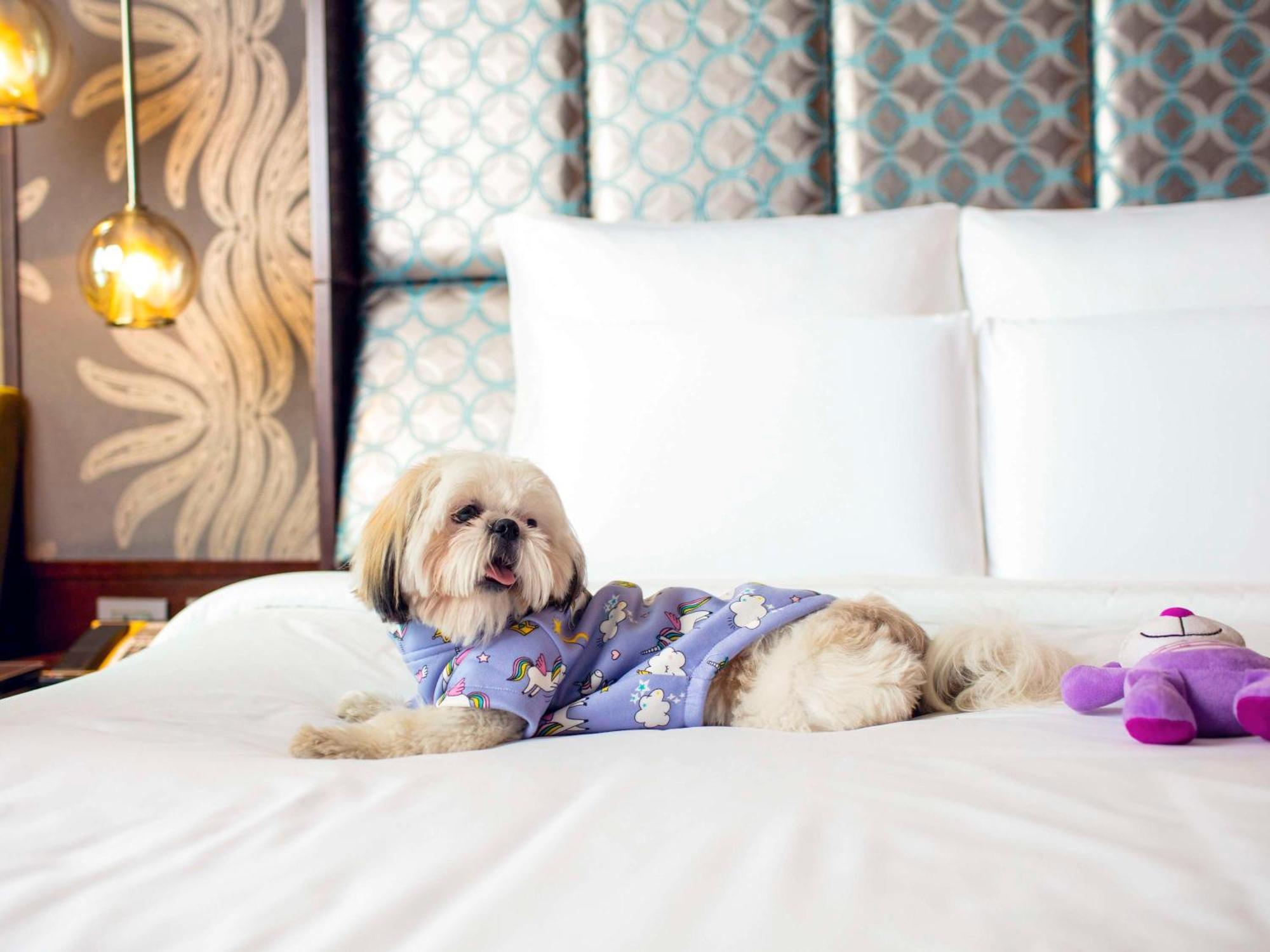 Pullman New Delhi Aerocity Kültér fotó A dog at the Four Seasons Hotel