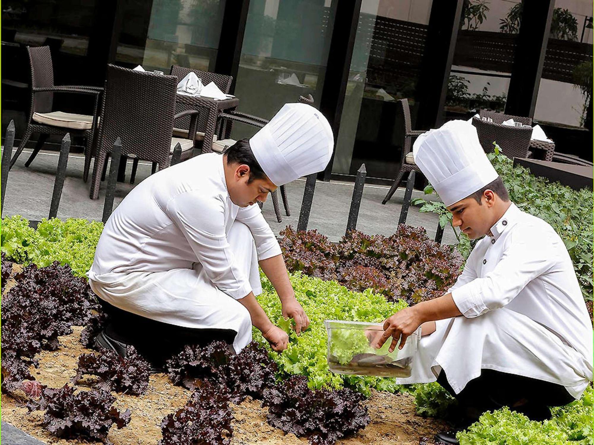 Pullman New Delhi Aerocity Kültér fotó Students working in the school's garden
